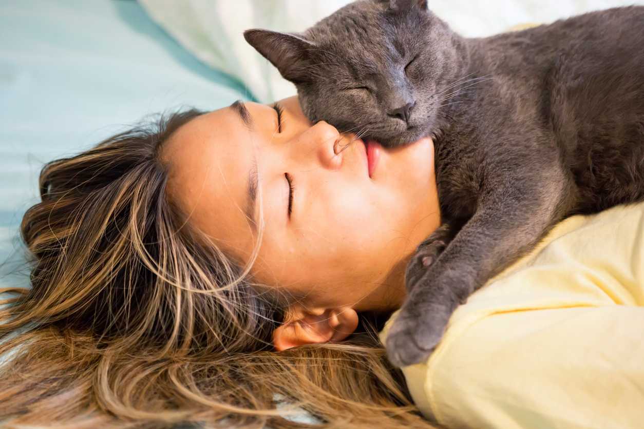 woman and cat take nap together