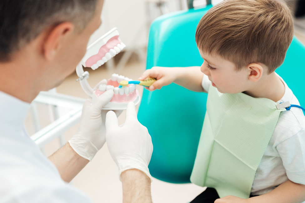 Dentist teaching little boy how to brush teeth with toothbrush